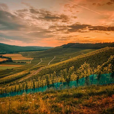 Moselmomente Apartmán