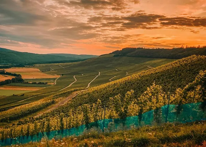 Moselmomente Apartamento